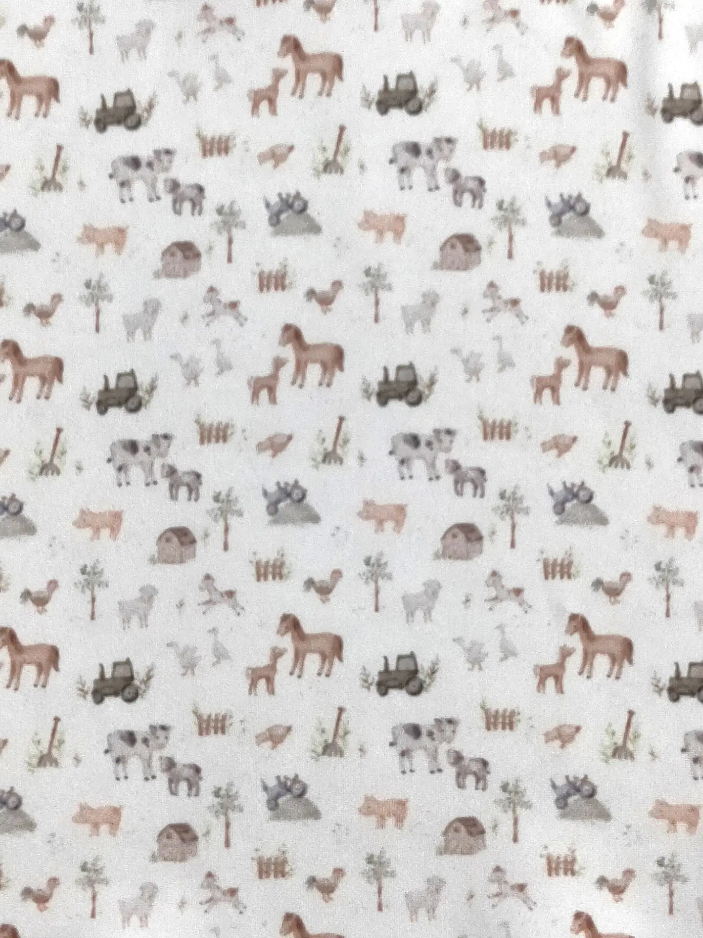Mini Farm Boy Collar Shirt