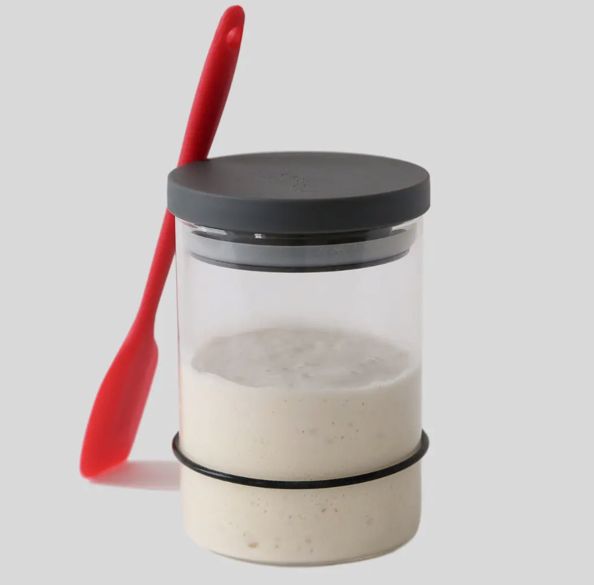 Sourdough Starter Kit