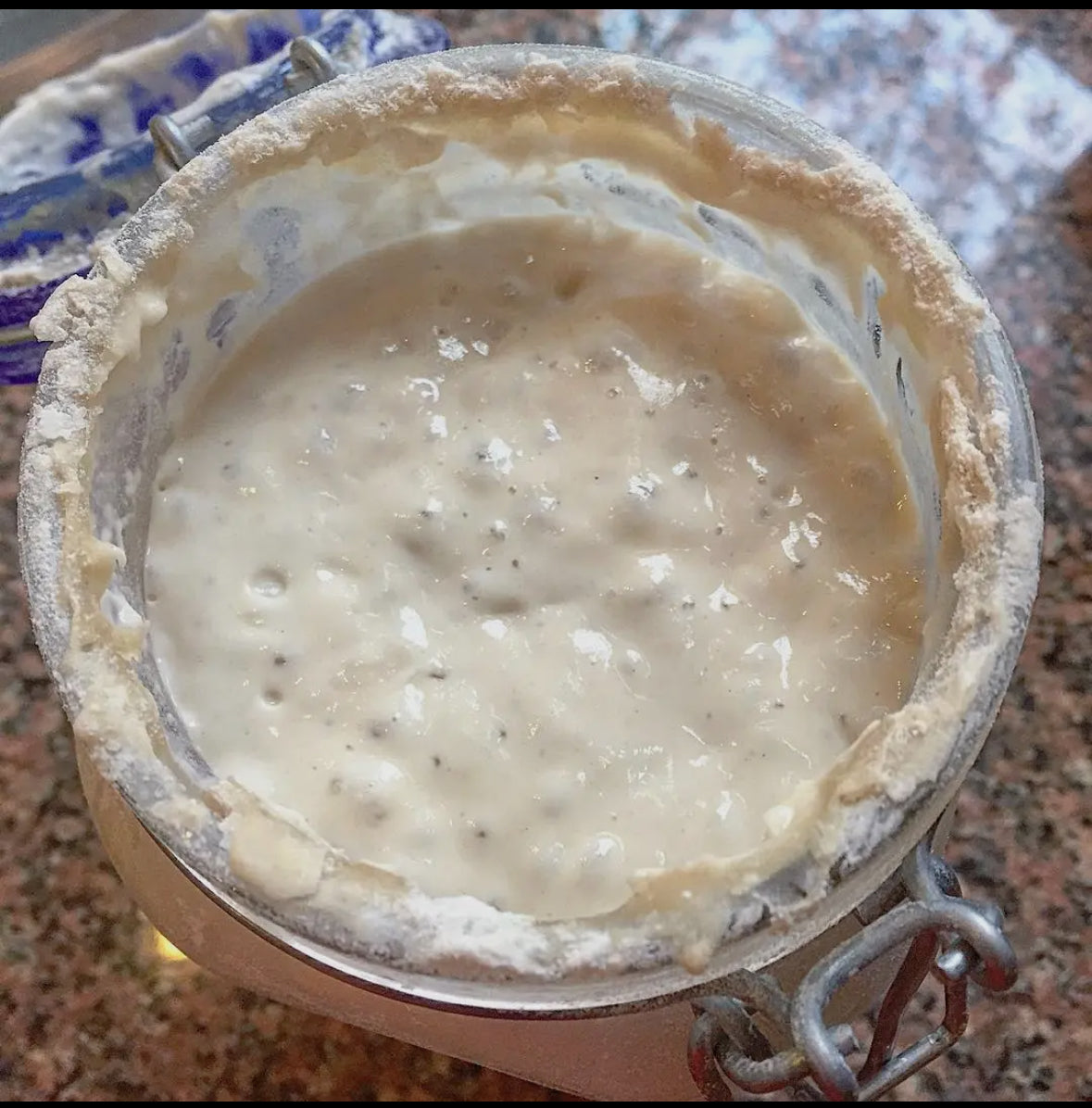 Sourdough Starter